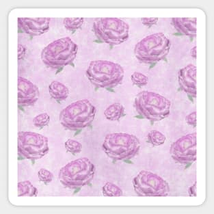 Watercolour pink peonies Sticker